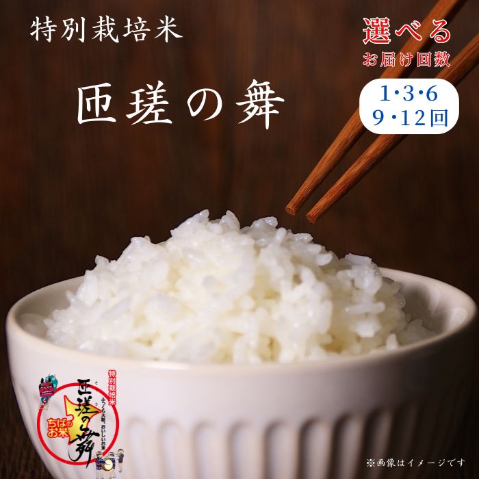 令和7年産　米 5kg 10kg 匝瑳の舞 精米 ／ お米 コメ こめ ごはん 匝瑳の舞 ふさこがね 白米 精米 5kg 10kg 定期便 チバエコ 特別栽培 令和7年産 千葉県 匝瑳市