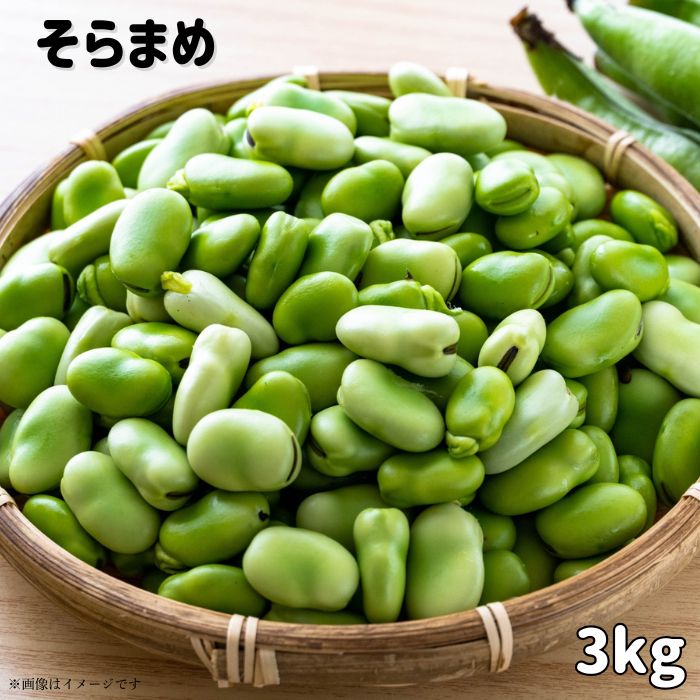 文ちゃん農園の天豆（そらまめ）約3kg ／ そら豆 そらまめ ソラマメ 空豆 天豆 豆 産地直送 野菜 3kg 千葉県 送料無料