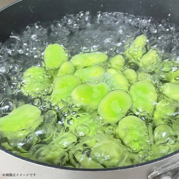 【ふるさと納税】文ちゃん農園の天豆（そらまめ）約3kg ／ そら豆 そらまめ ソラマメ 空豆 天豆 豆 産地直送 野菜 3kg 千葉県 送料無料 - 画像2