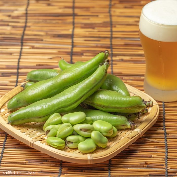 【ふるさと納税】文ちゃん農園の天豆（そらまめ）約3kg ／ そら豆 そらまめ ソラマメ 空豆 天豆 豆 産地直送 野菜 3kg 千葉県 送料無料 - 画像3