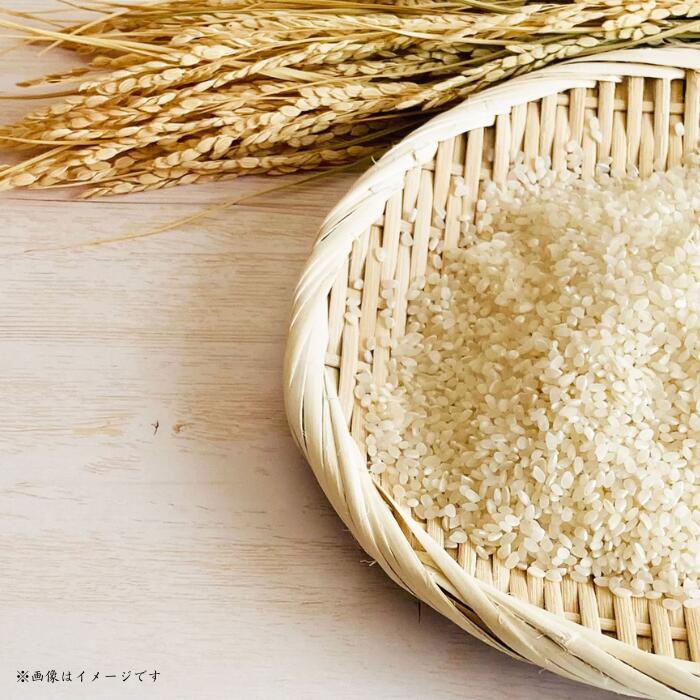 【ふるさと納税】《 令和7年産 》黒米・塩米（コシヒカリ）約5kg 約10kg ／ お米 米 精米 白米 コシヒカリ こしひかり 5kg 10kg 令和7年 千葉県 - 画像2