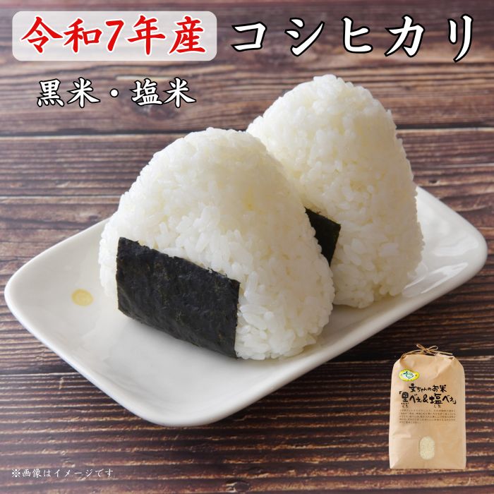 《 令和7年産 》黒米・塩米（コシヒカリ）約5kg 約10kg ／ お米 米 精米 白米 コシヒカリ こしひかり 5kg 10kg 令和7年 千葉県