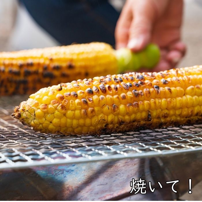 【ふるさと納税】《2026年発送》朝採り とうもろこし スイートコーン「恵味スター」5kg（10～13本） ／ とうもろこし トウモロコシ コーン スイートコーン 恵味スター 5kg 産地直送 産直 送料無料 - 画像3