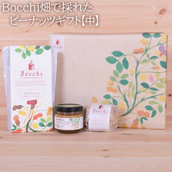 Bocchi畑で採れたピーナッツギフト【中】 ／ ペースト からつき なめらか 送料無料 千葉県