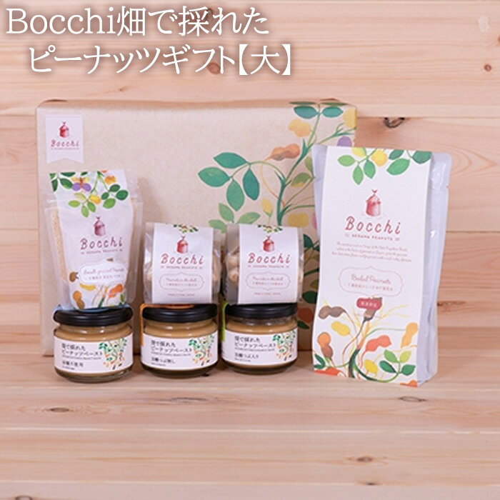Bocchi畑で採れたピーナッツギフト【大】 ／ ペースト からつき なめらか 送料無料 千葉県