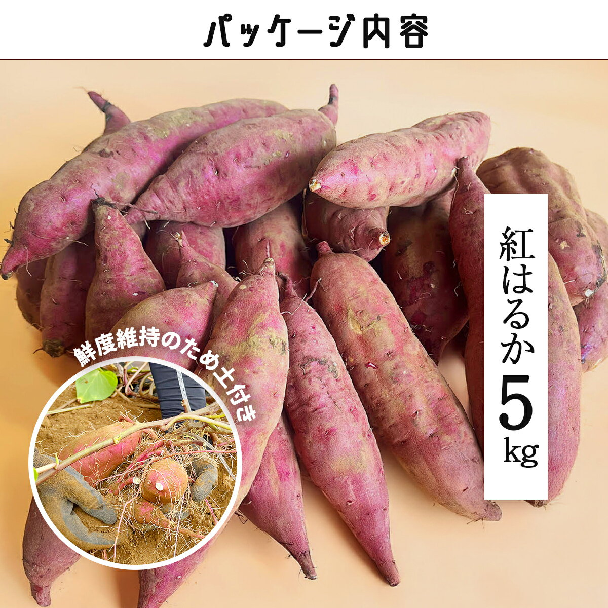 【ふるさと納税】先行受付【訳あり】さつま芋 紅はるか 約5kg 千葉県香取市産【2025年12月上旬より順次発送】 KTRAZ005　　　　さつまいも さつま芋 芝山農園 香取市 - 画像2