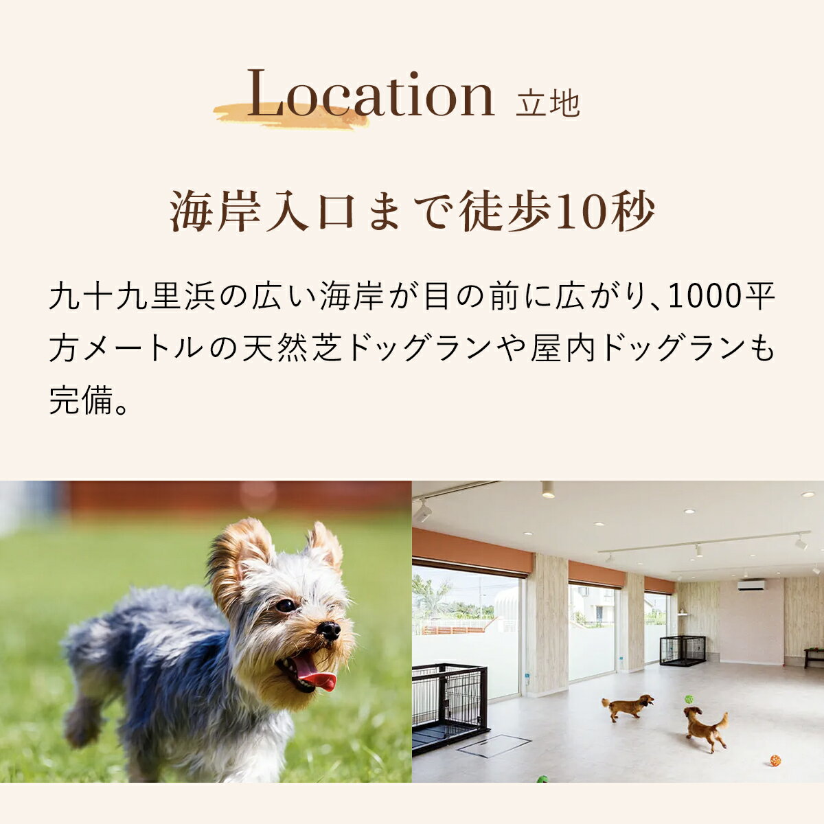 【ふるさと納税】愛犬と泊まれる「＆WANグループホテル」1泊宿泊券（1頭・2名様） / 旅行 ペット わんちゃん ドッグラン＆WAN アンドワン 犬 いぬ イヌ 犬と泊まれる宿 ホテル 宿泊 千葉県 山武市 九十九里 SMU002 サムネイル3