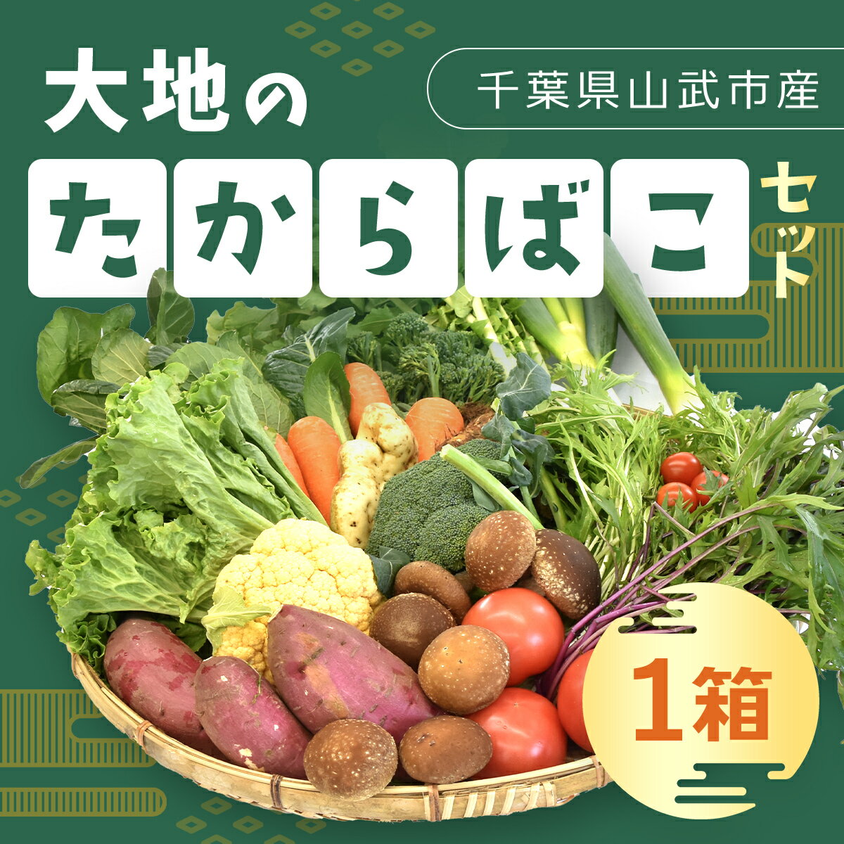 大地のたからばこセット（1箱） ／ 農産物 野菜 新鮮 旬 送料無料 千葉県 山武市 SMA002