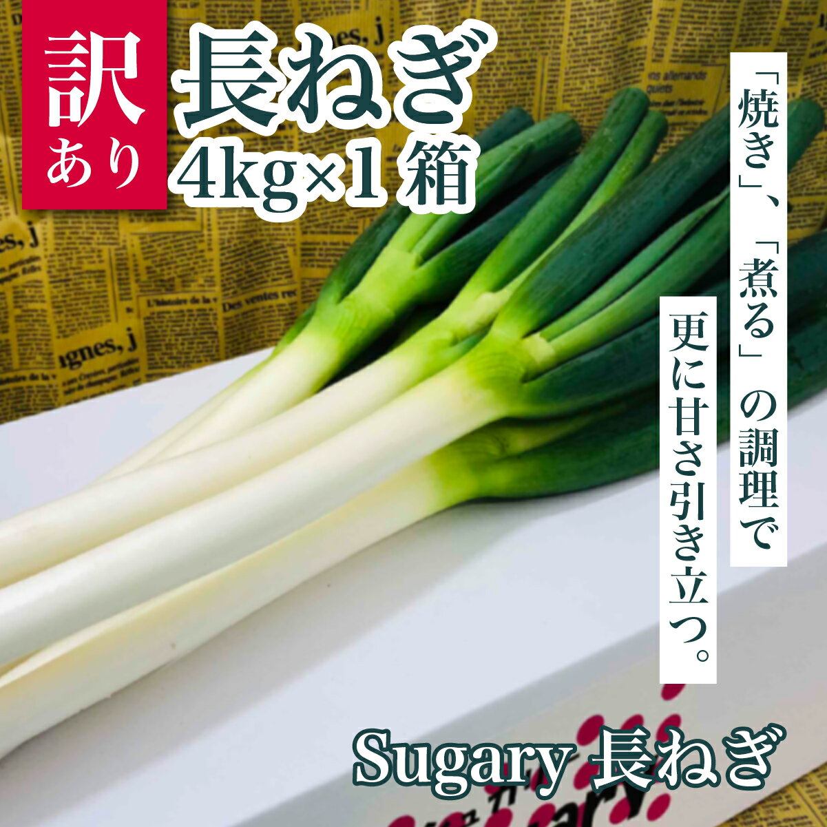 Sugary長ねぎ(訳あり品)4kg×1箱 SMY006