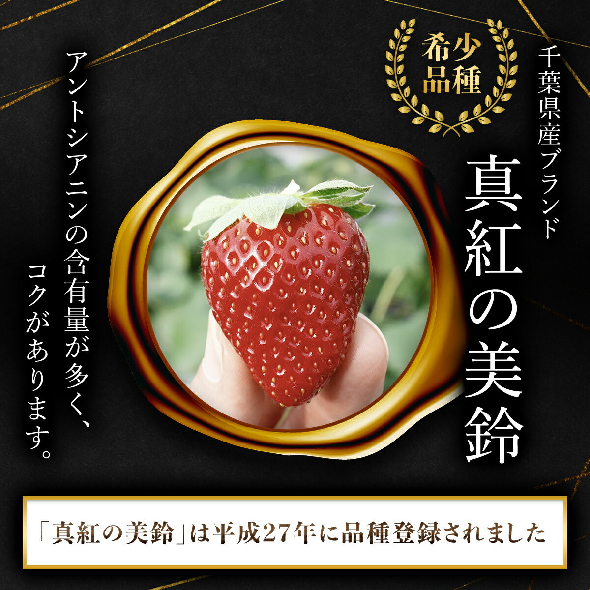 【ふるさと納税】【先行予約】【2025年12月中旬より順次発送】希少品種 黒いちご 真紅の美鈴 2L 36粒入り／ 真紅の美鈴 苺 粒 濃厚 果汁 希少 しんくのみすず いちご イチゴ 美味しい 贈答 ギフト お取り寄せ 送料無料 千葉県 SMAN001 サムネイル2