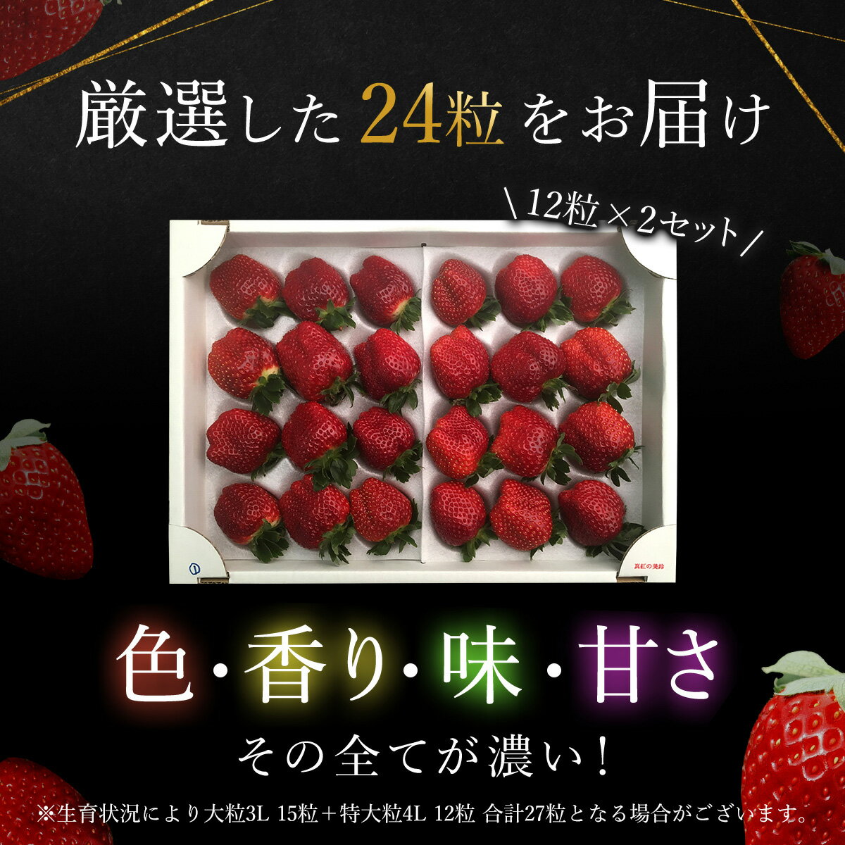 【ふるさと納税】【先行予約】【2025年12月中旬より順次発送】希少品種 黒いちご 真紅の美鈴 4L24粒入り／ 真紅の美鈴 苺 粒 濃厚 果汁 希少 しんくのみすず いちご イチゴ 美味しい 贈答 ギフト お取り寄せ 送料無料 千葉県 SMAN003 サムネイル3