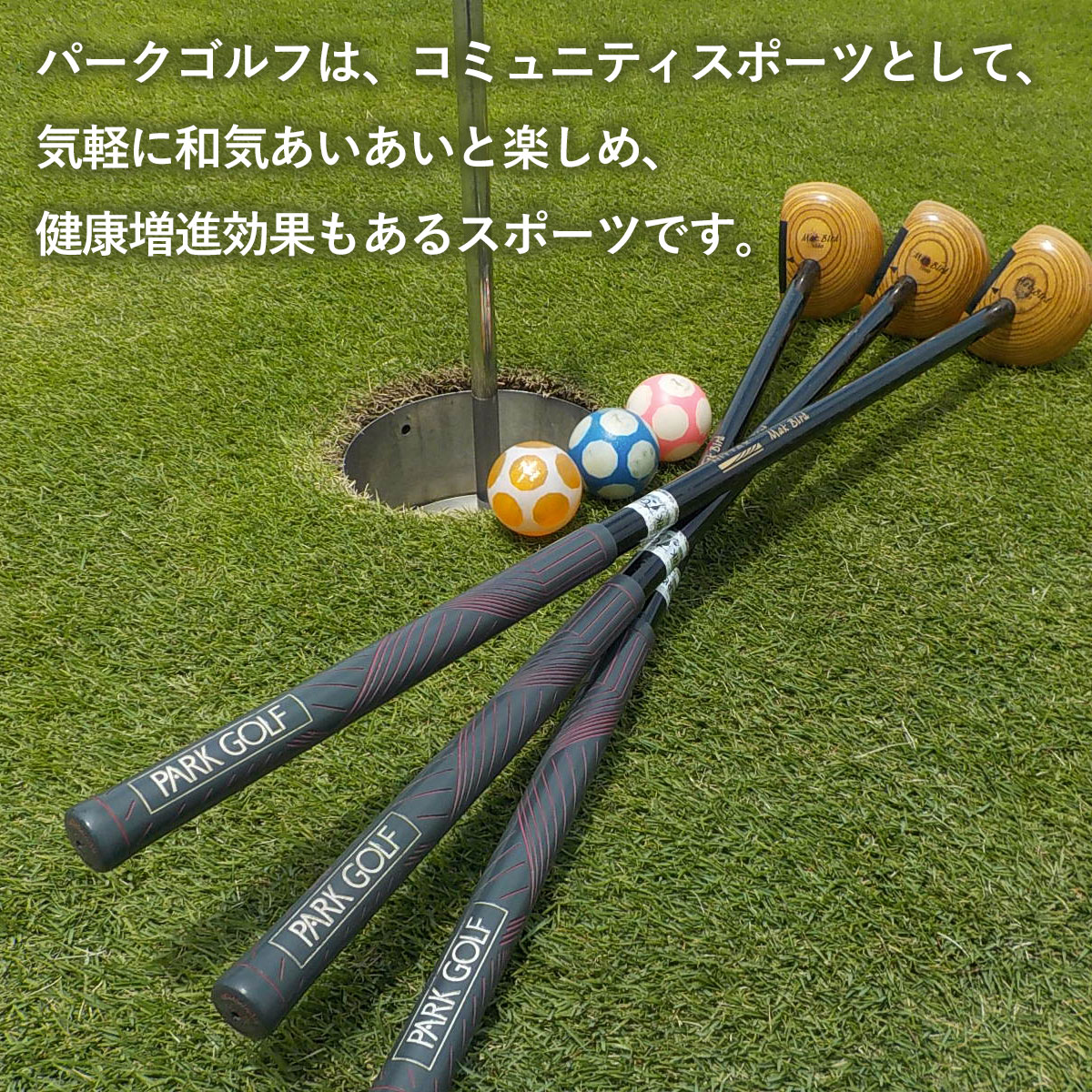 【ふるさと納税】ホテル蓮沼ガーデンハウス・マリーノ宿泊券とパークゴルフ場1日券　各1名様分 ／ 1泊2日 2食付 季節プラン オーシャンビュー 観光 旅行 蓮沼海浜公園 レンタル無料 チケット 送料無料 千葉県 SMM005 - 画像3