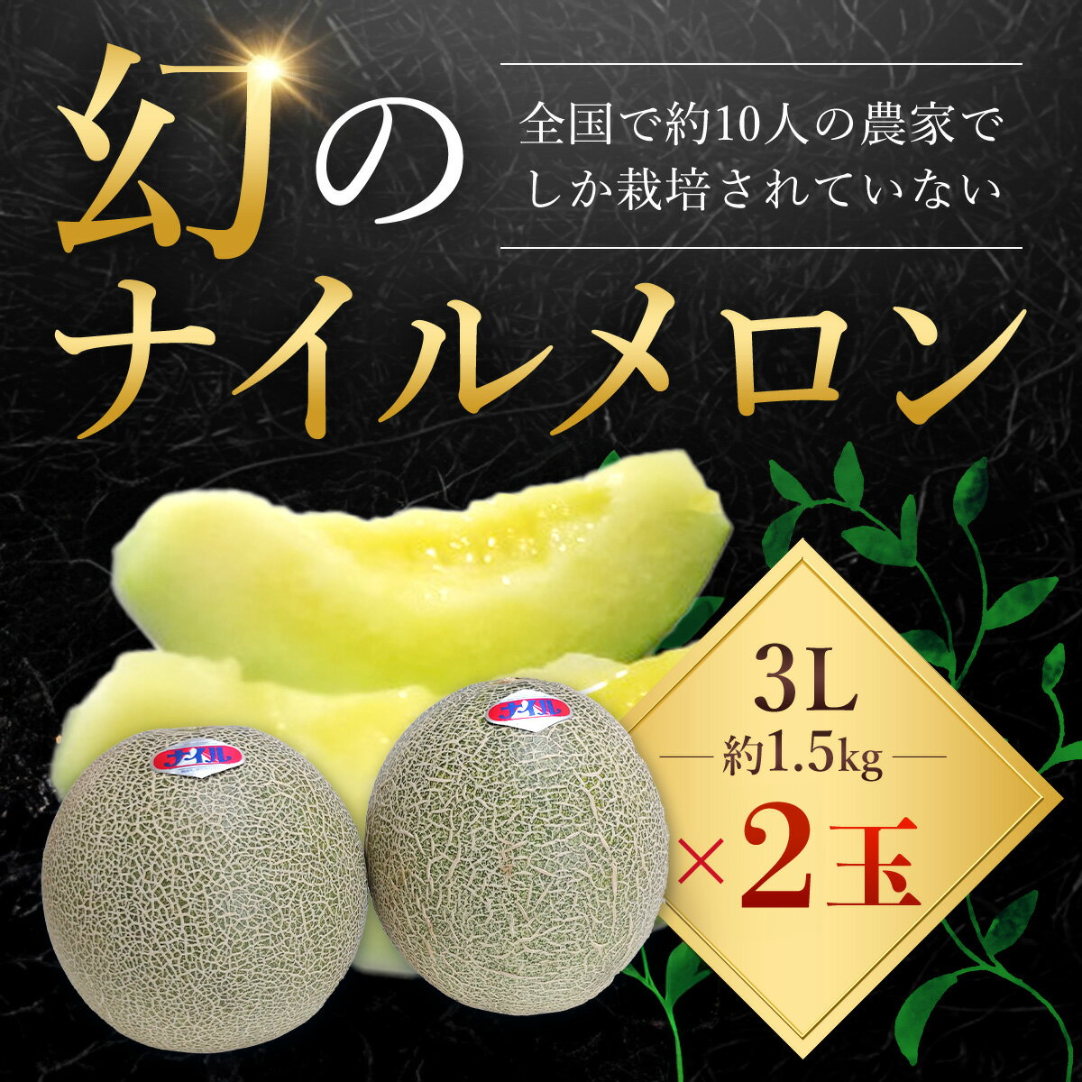 【先行予約】【6月中旬頃から発送】幻のナイルメロン 全国で10人ほどの農家でしか栽培されていない幻のメロン 約1.5kg×2玉 / メロン ナイルメロン 幻のメロン 甜瓜 青肉 青肉メロン 千葉県 山武市 SMAE001