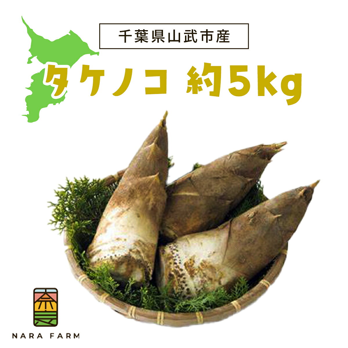 【先行予約】【4月上旬から発送】タケノコ 約5kg【 ふるさと納税 人気 おすすめ ランキング 筍 山菜 タケノコ 野菜 やさい お取り寄せ ご当地 特産品 千葉県 山武市 送料無料 】 SMAF003