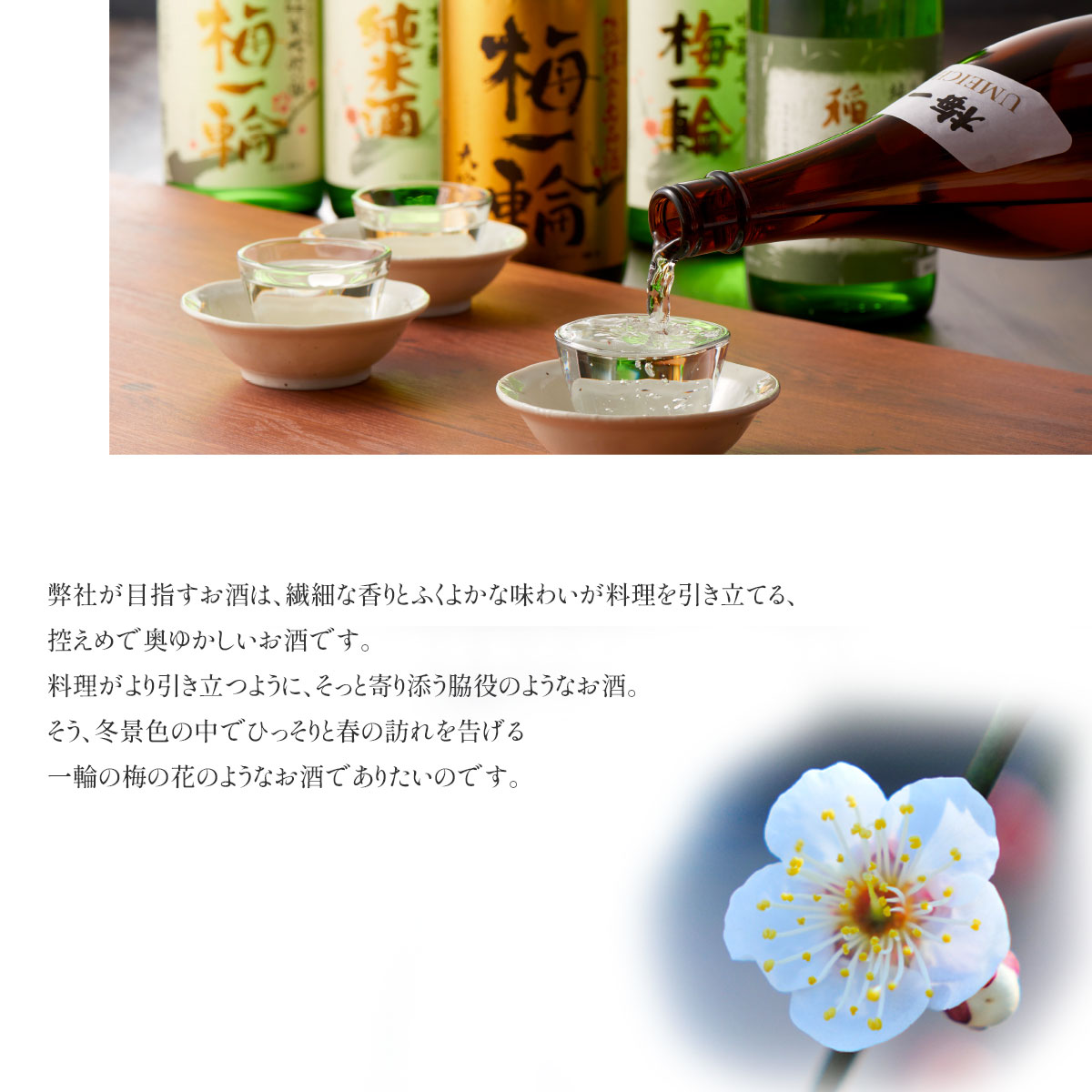 【ふるさと納税】鑑評品大吟醸　梅一輪 ／ お酒 日本酒 地酒 送料無料 千葉県 山武市 SMC001 サムネイル3