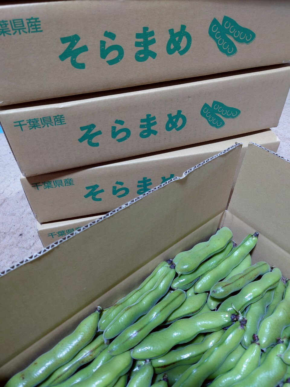 【ふるさと納税】【先行予約】【5月中旬～下旬発送】地元で8代続く農家から直送! 香りとやわらかな歯触りがおいしい初夏の味覚! 篠原農園のそら豆 S,Mサイズミックス 4kg以上／採りたて そら豆 ソラマメ 天ぷら 農家直送 千葉県 千葉県 山武市 SMBV003 - 画像3