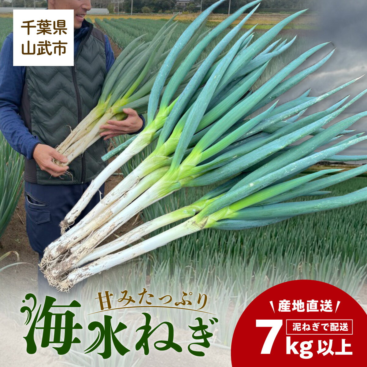 【先行予約】【山武市限定栽培】泥ネギでドドンと配送！ミネラル豊富で甘みたっぷりの「海水ネギ」7kg以上 / 地元の道の駅オライはすぬまで大人気の農家から直送! 【2026年12月から発送】SMCV002