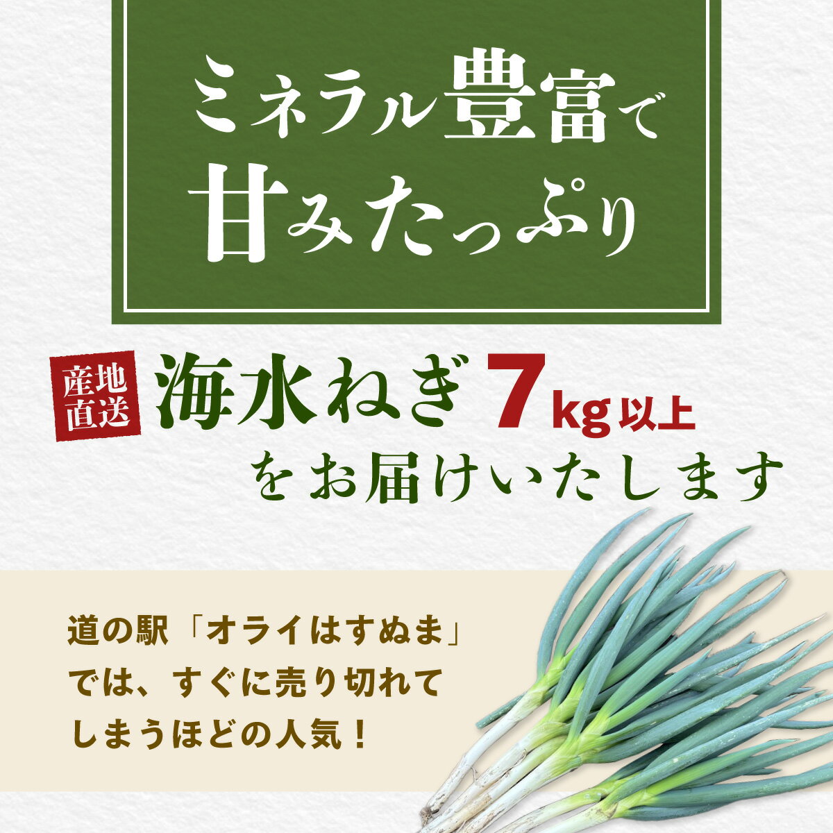 【ふるさと納税】【先行予約】【山武市限定栽培】泥ネギでドドンと配送！ミネラル豊富で甘みたっぷりの「海水ネギ」7kg以上 / 地元の道の駅オライはすぬまで大人気の農家から直送! 【2026年12月から発送】SMCV002 - 画像2