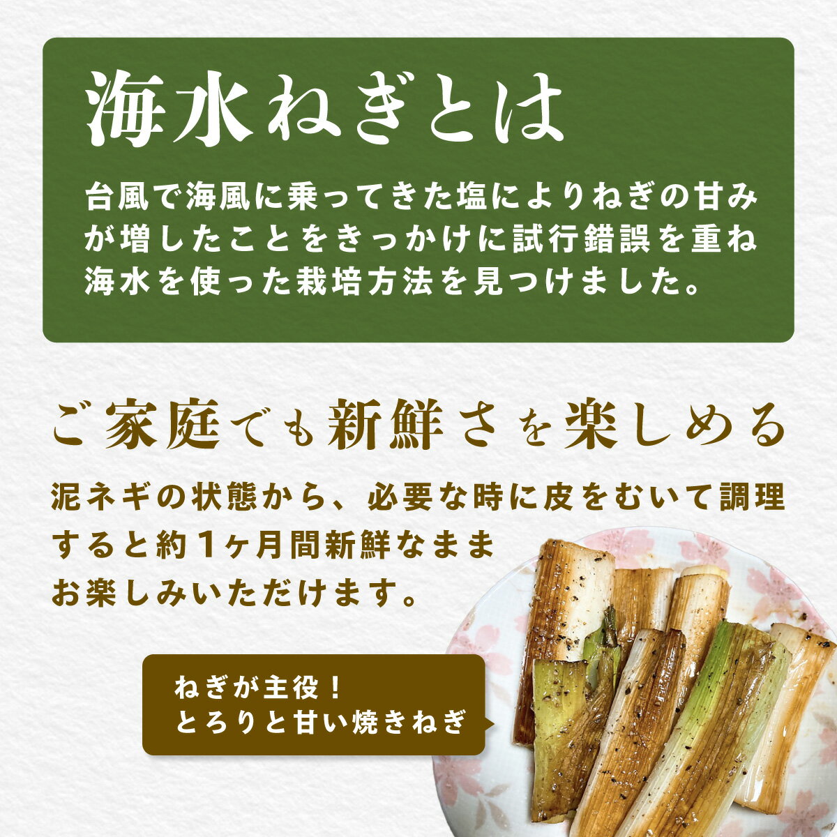 【ふるさと納税】【先行予約】【山武市限定栽培】泥ネギでドドンと配送！ミネラル豊富で甘みたっぷりの「海水ネギ」7kg以上 / 地元の道の駅オライはすぬまで大人気の農家から直送! 【2026年12月から発送】SMCV002 - 画像3