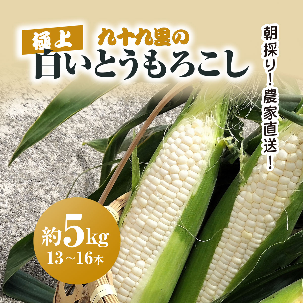 【先行予約】【6月上旬より発送】朝採り!農家直送! 九十九里の極上白いとうもろこし 約5kg(13~16本) /とうもろこし トウモロコシ コーン 白いとうもろこし 味甘ちゃんホワイト 朝採れ 濃厚な甘み 新鮮 農家直送 千葉県 千葉県山武市 SMBU001