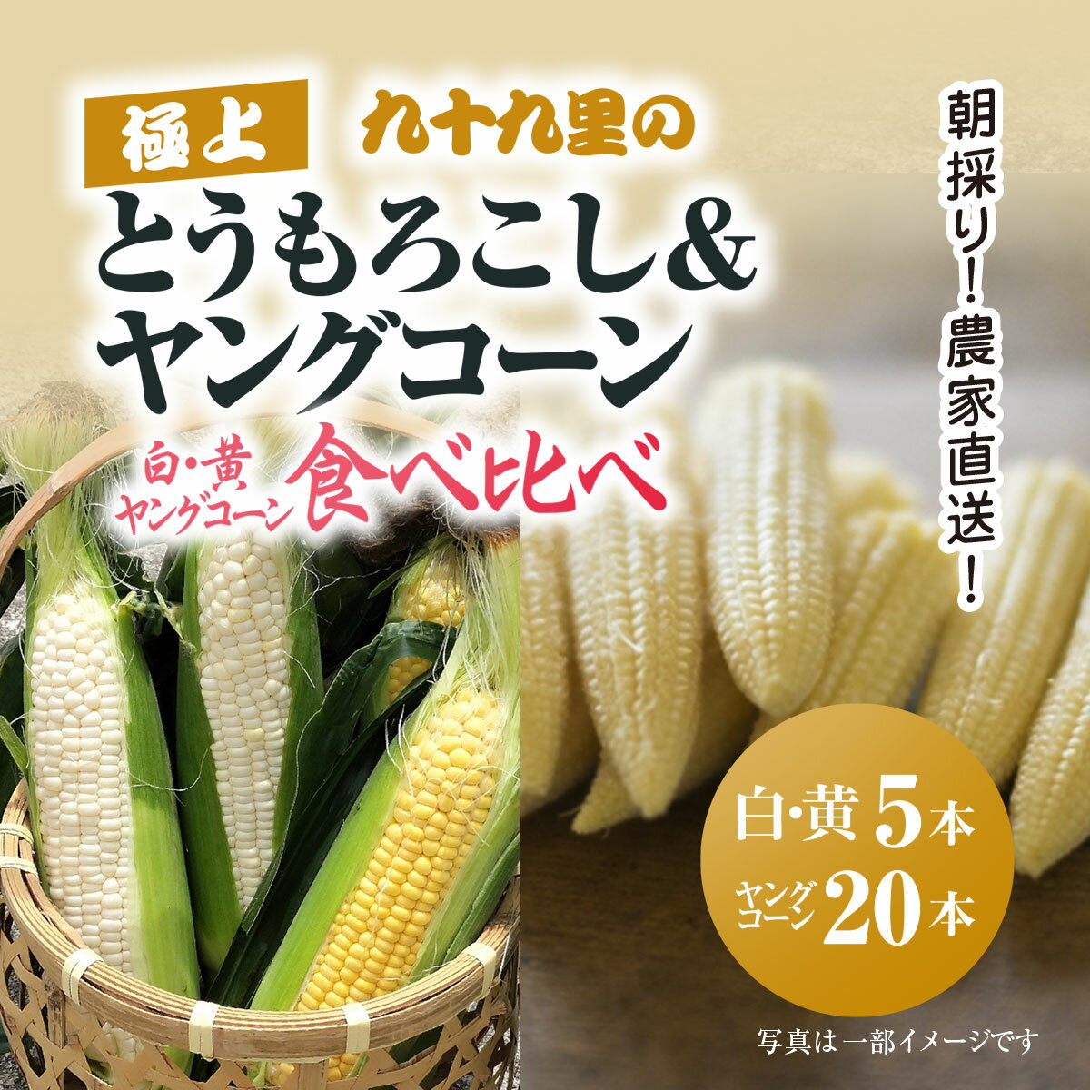 【先行予約】【6月上旬より発送】朝採り!農家直送! 九十九里の極上とうもろこし2種類+ヤングコーン食べ比べ / とうもろこし トウモロコシ コーン ゴールドラッシュ 白いとうもろこし ヤングコーン シャキシャキ 朝採れ 農家直送 千葉県山武市 SMBU003