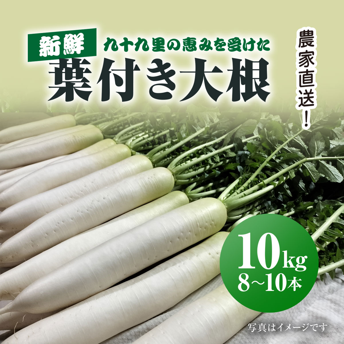 【先行予約】【2月上旬より発送】農家直送! 九十九里の恵みを受けた新鮮葉付き大根 約10kg / 大根 だいこん 葉付き大根 葉付きだいこん 新鮮 九十九里浜 おひたし 味噌汁 みそ汁 千葉県 千葉県山武市 SMBU005
