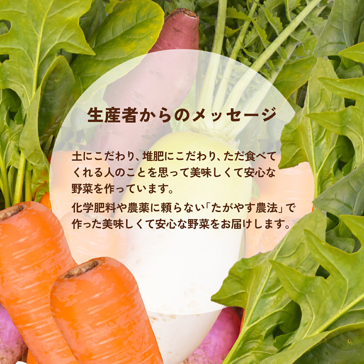 【ふるさと納税】有機農業の第一人者 たがやす倶楽部 齊藤 完一さんの「季節の野菜セット」　ふるさと納税 野菜 やさい 季節 詰合せ セット たがやす農法 安心 美味しい 甘味 千葉県 山武市 SMCL001 - 画像3
