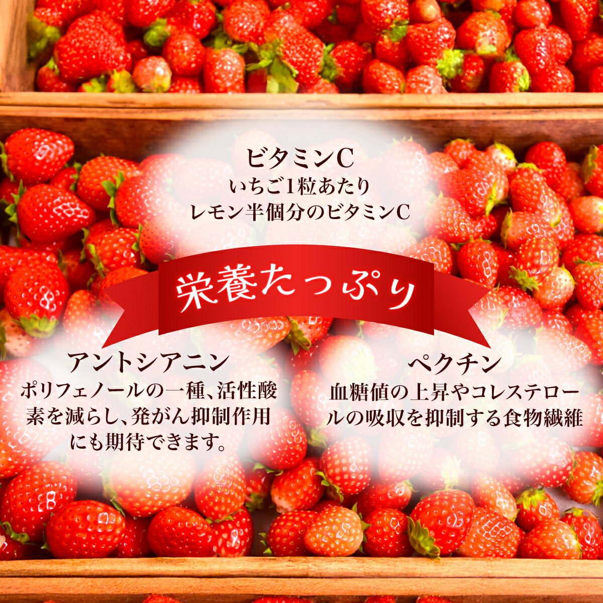 【ふるさと納税】【先行予約】【1月下旬から発送】赤い宝石 おなぎ苺園のジュエルベリー 完熟いちご とちおとめ 約500g SMCO001 ※離島（沖縄含む）への配送は不可 サムネイル3