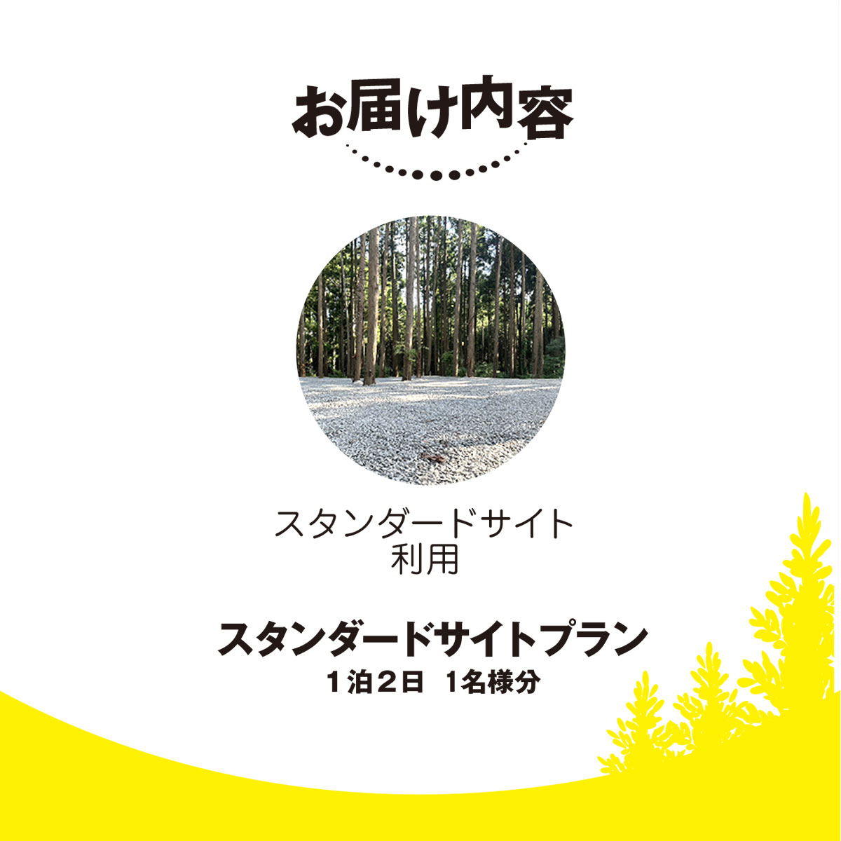 【ふるさと納税】 Render Fika スタンダードサイトプラン（1泊2日） 【 ふるさと納税 人気 おすすめ ランキング 貸切露天風呂 お風呂 温泉 キャンプ 癒し バーベキュー 大自然 宿泊 千葉県 山武市 送料無料 】SMCJ003 - 画像2