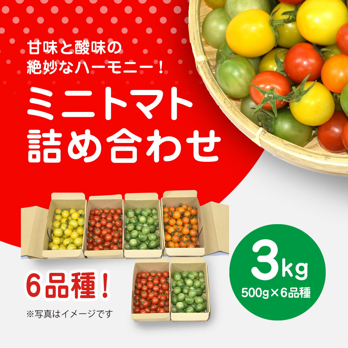 【先行予約】【11月から発送】甘味と酸味の絶妙なハーモニー! ミニトマト 詰め合わせ 3kg（500g×6品種） SMCA001 ※離島（沖縄含む）への配送は不可