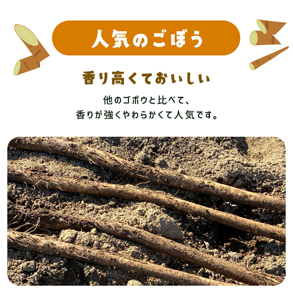 【ふるさと納税】ゴボウ 約5kg / ふるさと納税 人気 おすすめ ランキング ゴボウ 牛蒡 野菜 根菜 旬 新鮮 グルメ お取り寄せ ギフト お中元 お歳暮 千葉県 山武市 送料無料 SMAF002 - 画像3