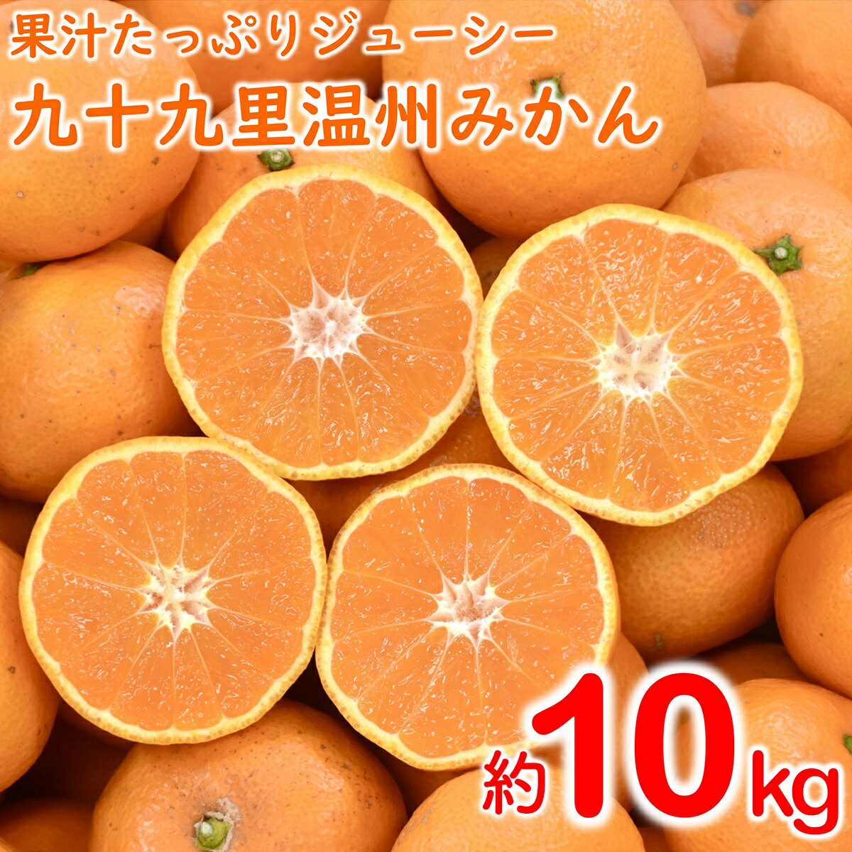 【先行予約】【11月以降順次発送】【訳あり】九十九里温州みかん 約10kg SMBZ001 ※離島（沖縄含む）配送不可| みかん ミカン 蜜柑 温州 温州みかん 温州ミカン 早生 早生みかん 早生ミカン 10キロ わけあり 柑橘 柑橘類 数量限定 期間限定 千葉県 山武市