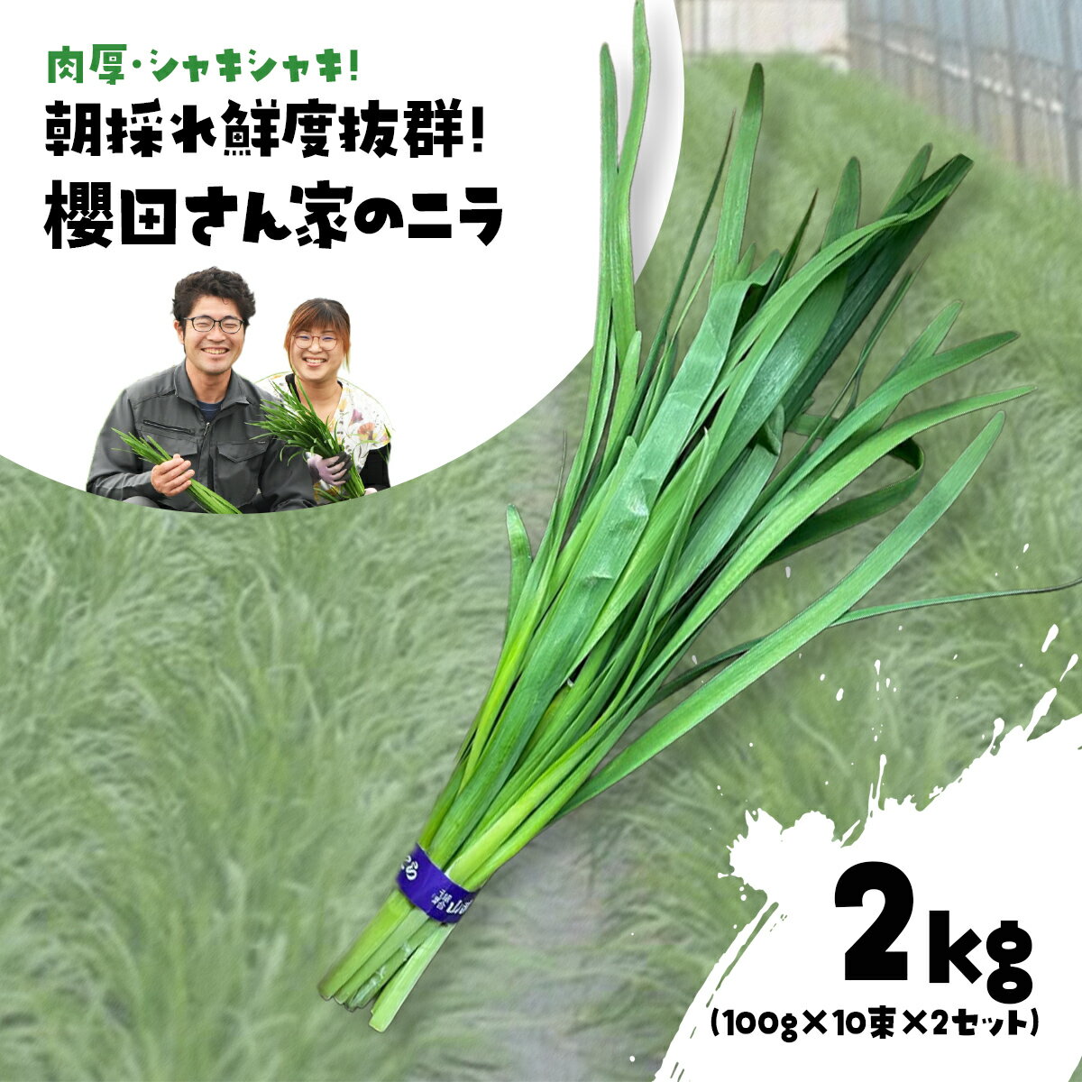 【先行予約】【12月から発送】肉厚・シャキシャキ! 朝採れ鮮度抜群! 櫻田さん家のニラ 2kg(100g×10束×2セット) ふるさと納税 にら ニラ 朝採れ 新鮮 肉厚 シャキシャキ 農家直送 鮮度抜群 千葉県 山武市 送料無料 SMCS002