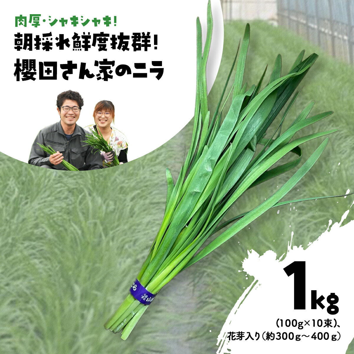 【先行予約】【2026年7月から発送】肉厚・シャキシャキ! 朝採れ鮮度抜群! 櫻田さん家のニラ 2kg(100g×10束×2セット) ふるさと納税 にら ニラ 朝採れ 新鮮 肉厚 シャキシャキ 農家直送 鮮度抜群 千葉県 山武市 送料無料 SMCS002