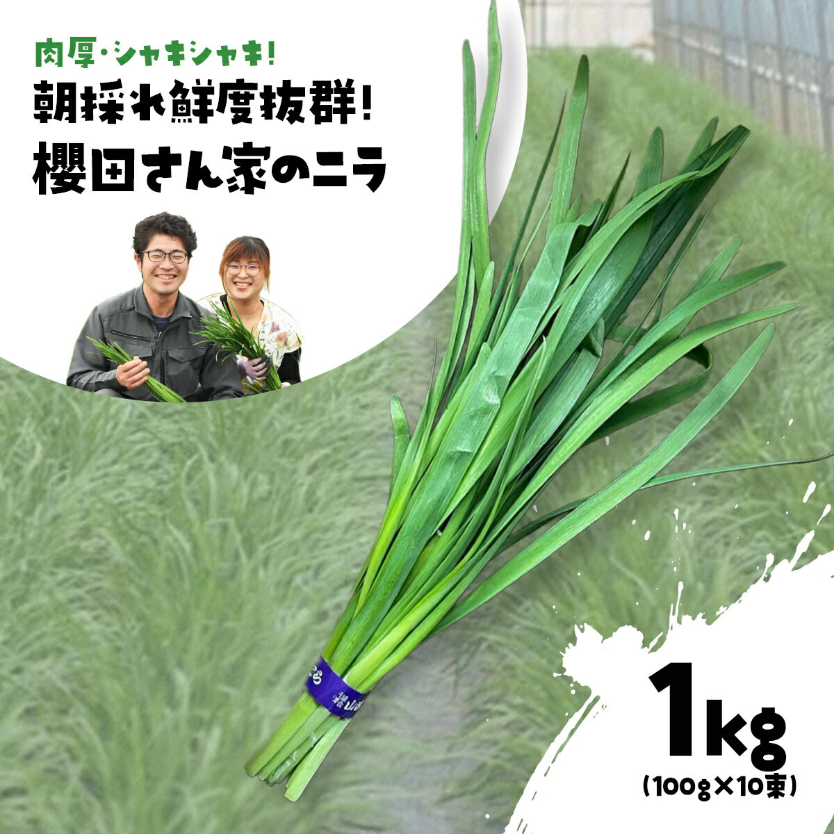 【先行予約】【12月から発送】肉厚・シャキシャキ! 朝採れ鮮度抜群! 櫻田さん家のニラ 1kg(100g×10束) ふるさと納税 にら ニラ 朝採れ 新鮮 肉厚 シャキシャキ 農家直送 鮮度抜群 千葉県 山武市 送料無料 SMCS001