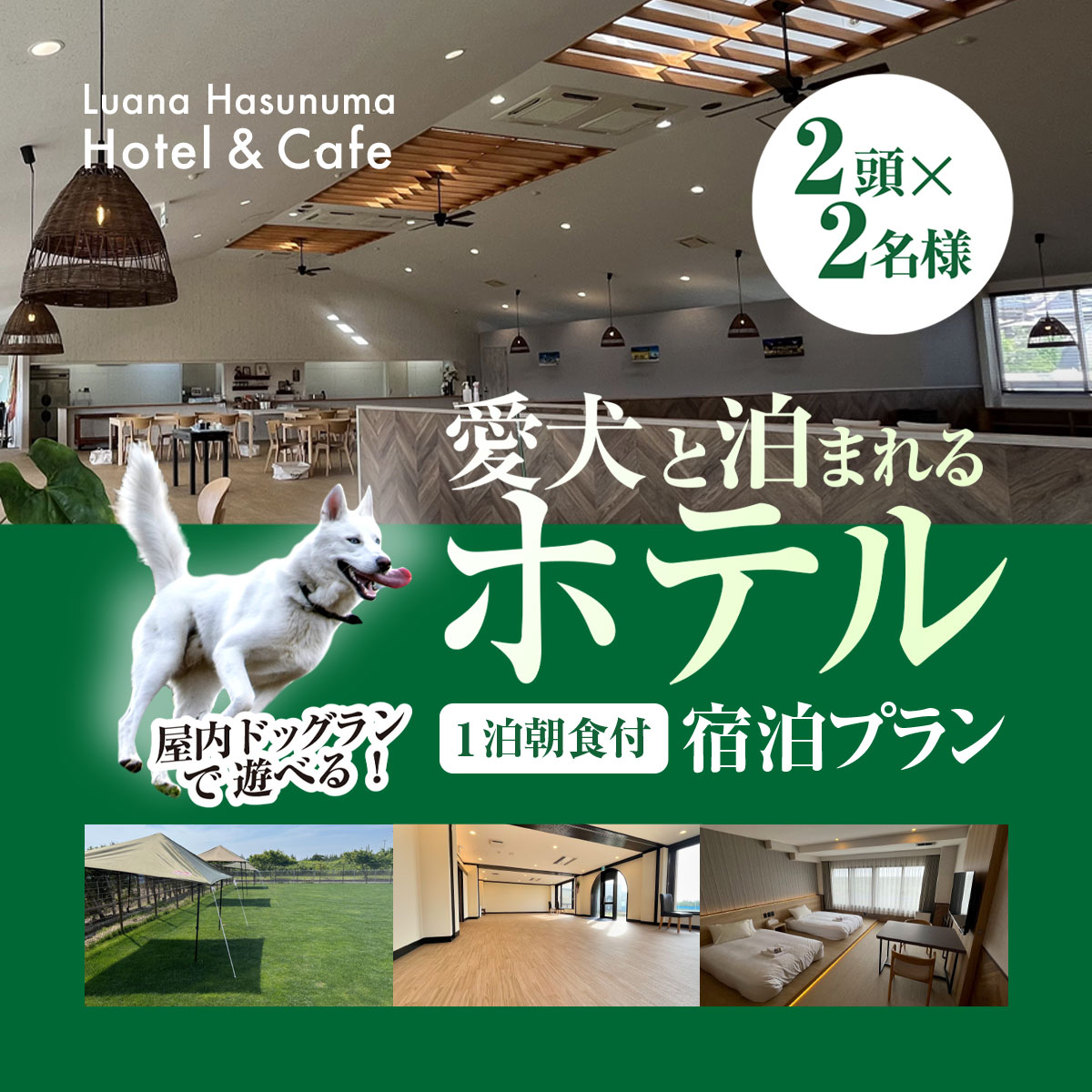 愛犬と泊まれるホテル Luana Hasunuma HOTEL&CAFE 1泊朝食付宿泊プラン（2頭・2名様）／ホテル 宿泊 カフェ 愛犬と一緒に泊まれる ペットと泊まれる宿 ドッグラン 愛犬 犬 小型犬 中型犬 自然 蓮沼海岸 千葉県 山武市 SMCD001