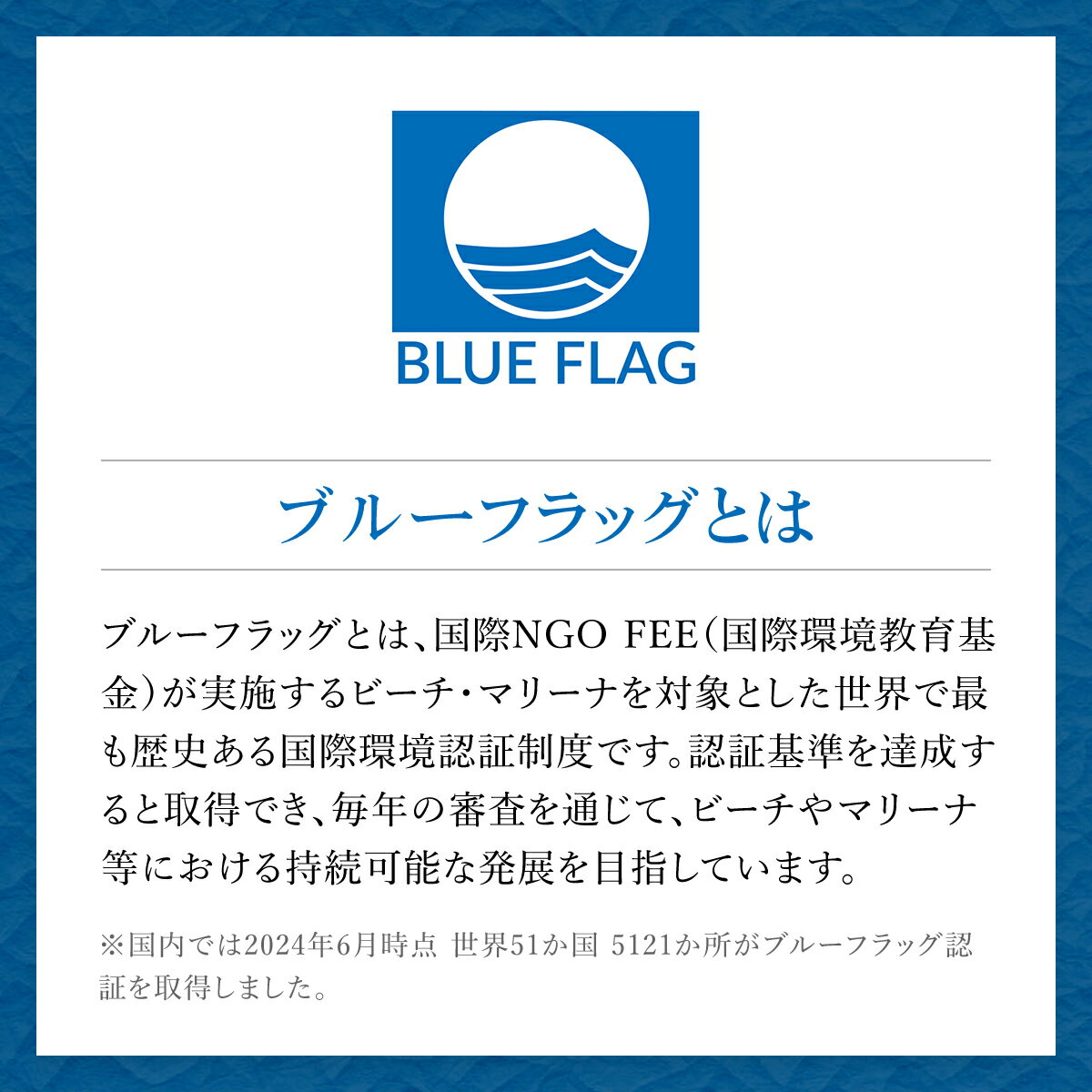 【ふるさと納税】【千葉県ブランド認定】天然特大活はまぐり《1.5kg》／ふるさと納税 はまぐり ハマグリ 蛤 貝類 魚介 海鮮 お吸い物 パスタ パエリア お歳暮 贈答 お祝い 千葉県 山武市 SMBO003 - 画像3