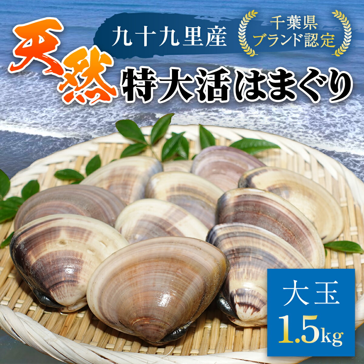 【千葉県ブランド認定】天然特大活はまぐり《1.5kg》／ふるさと納税 はまぐり ハマグリ 蛤 貝類 魚介 海鮮 お吸い物 パスタ パエリア お歳暮 贈答 お祝い 千葉県 山武市 SMBO003