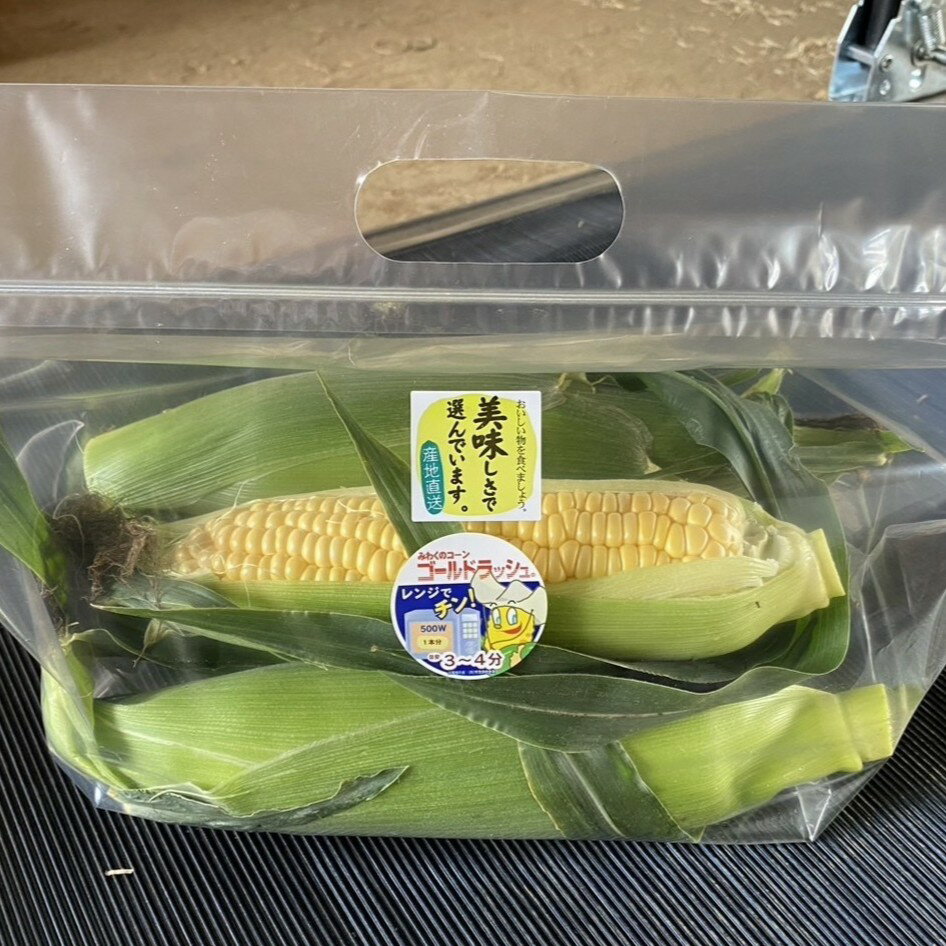 【ふるさと納税】【先行予約】【6月中旬から発送予定】農家直送!太田農園の朝採り とうもろこし 2L 13本　SMBW003 ※離島（沖縄含む）配送不可 - 画像3