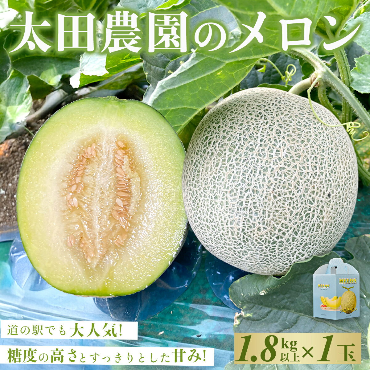 【先行予約】【6月上旬～中旬発送予定】道の駅でも大人気! 糖度の高さとすっきりとした甘みが特徴! 太田農園のメロン 1.8kg以上×1玉　SMBW001 ※離島（沖縄含む）配送不可