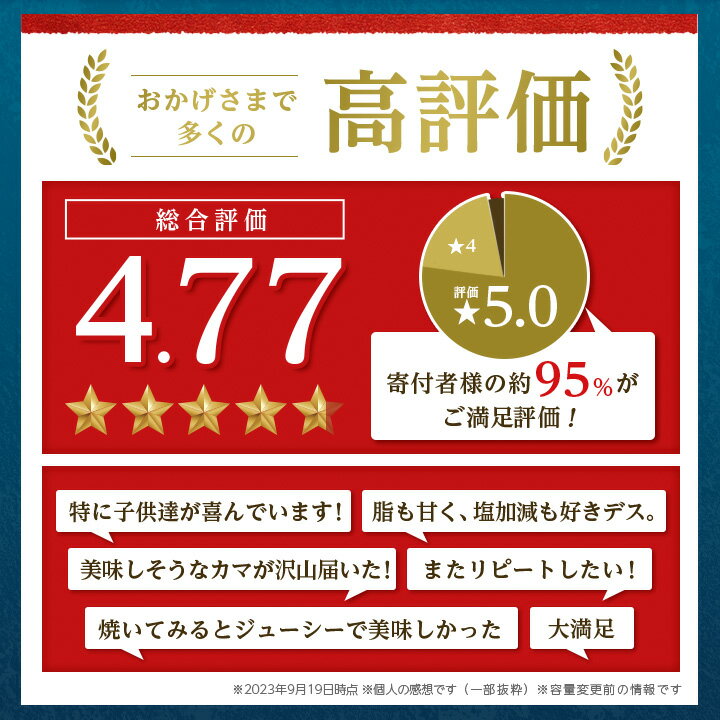 【ふるさと納税】【訳あり】人気海鮮お礼品 銀鮭カマ 約3kg_ 鮭 さけ サケ シャケ 銀鮭 カマ 養殖 訳あり 規格外 不揃い 切身 魚 お弁当 おかず 冷凍 人気 海鮮 サーモン おすすめ チリ産 魚介類 家庭用 3kg おつまみ 【配送不可地域：離島】【1389618】 サムネイル2