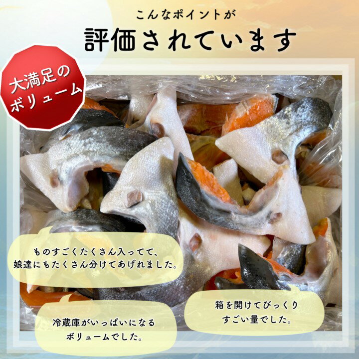 【ふるさと納税】【訳あり】人気海鮮お礼品 銀鮭カマ 約3kg_ 鮭 さけ サケ シャケ 銀鮭 カマ 養殖 訳あり 規格外 不揃い 切身 魚 お弁当 おかず 冷凍 人気 海鮮 サーモン おすすめ チリ産 魚介類 家庭用 3kg おつまみ 【配送不可地域：離島】【1389618】 サムネイル3