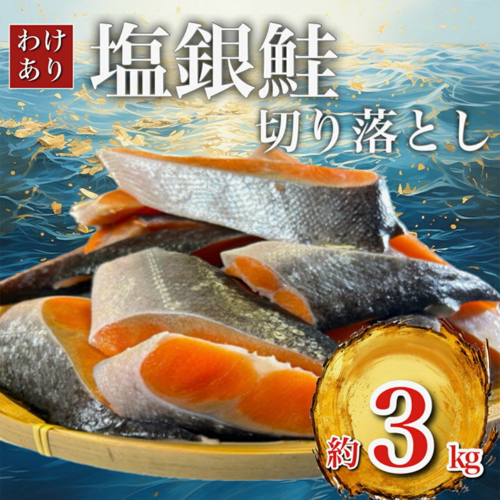 【訳あり】人気の海鮮お礼品 チリ産 定塩 塩銀鮭切り落とし(端材)約3kg_ 鮭 さけ サケ シャケ 銀鮭 切り落とし 端材 訳あり 規格外 不揃い 切身 魚 お弁当 おかず 冷凍 人気 海鮮 サーモン おすすめ チリ産 魚介類 【配送不可地域：離島】【1389616】