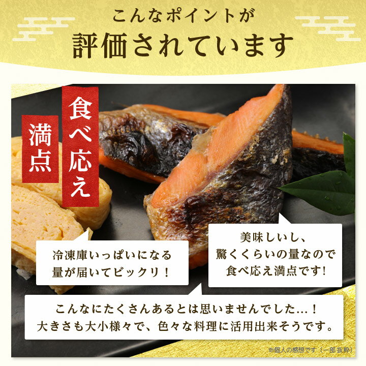 【ふるさと納税】【訳あり】人気の海鮮お礼品 チリ産 定塩 塩銀鮭切り落とし(端材)約3kg_ 鮭 さけ サケ シャケ 銀鮭 切り落とし 端材 訳あり 規格外 不揃い 切身 魚 お弁当 おかず 冷凍 人気 海鮮 サーモン おすすめ チリ産 魚介類 【配送不可地域：離島】【1389616】 サムネイル3