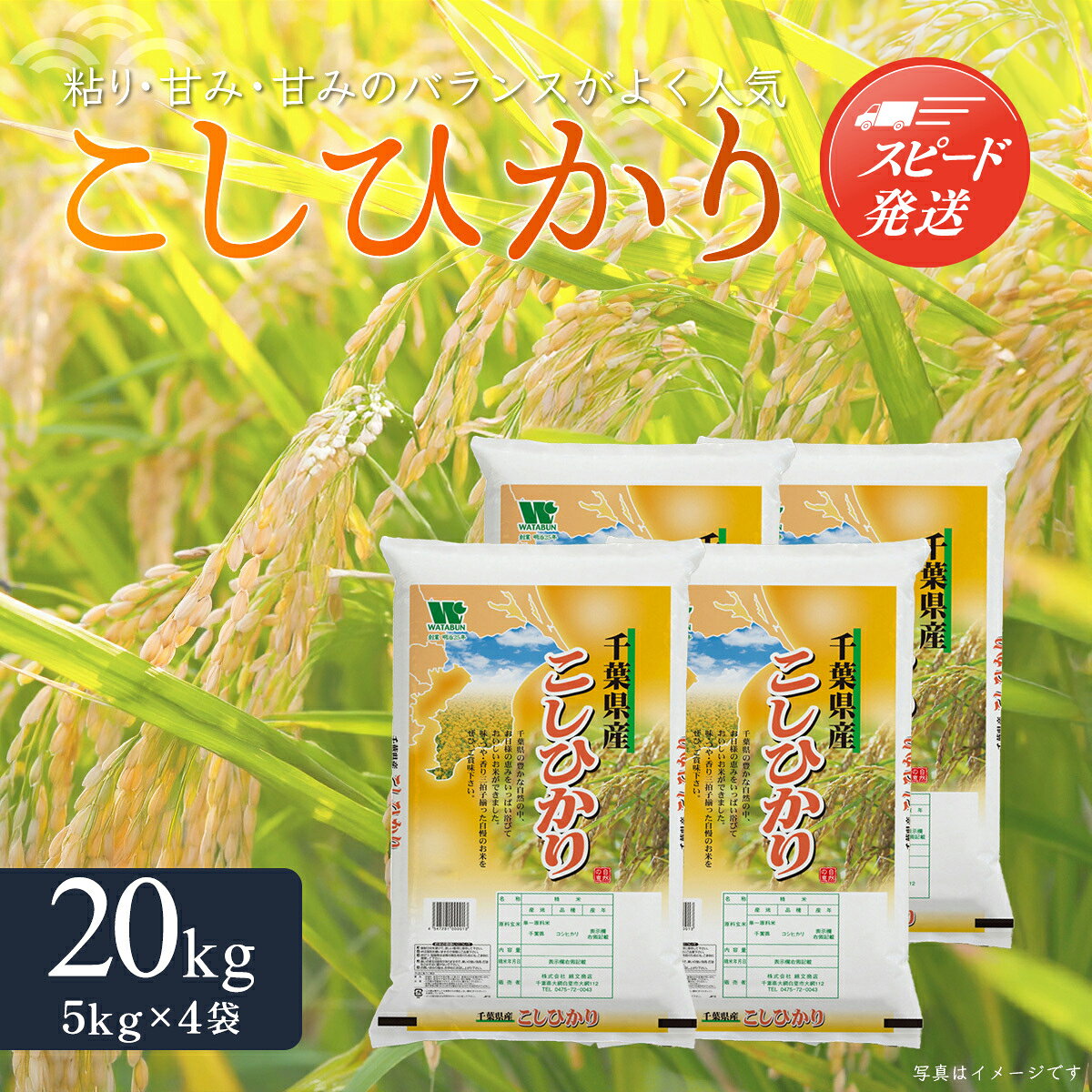 SKU対応済み【最短2～7営業日出荷】令和7年産 千葉県産「コシヒカリ」20kg（5kg×4袋） ふるさと納税 米 20kg コシヒカリ 千葉県 大網白里市 送料無料 A024