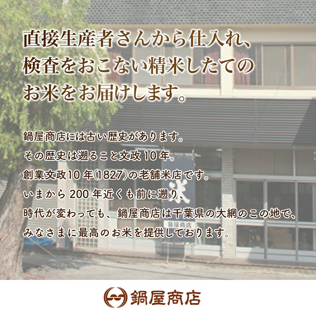 【ふるさと納税】【最短2～7営業日出荷】千葉県産『房乃誉』精米 10kg (5kg×2袋) 【 ふるさと納税 人気 おすすめ ランキング ブレンド米 精米 白米 コシヒカリ 訳あり品 千葉県 大網白里市 送料無料 】 E029 - 画像2