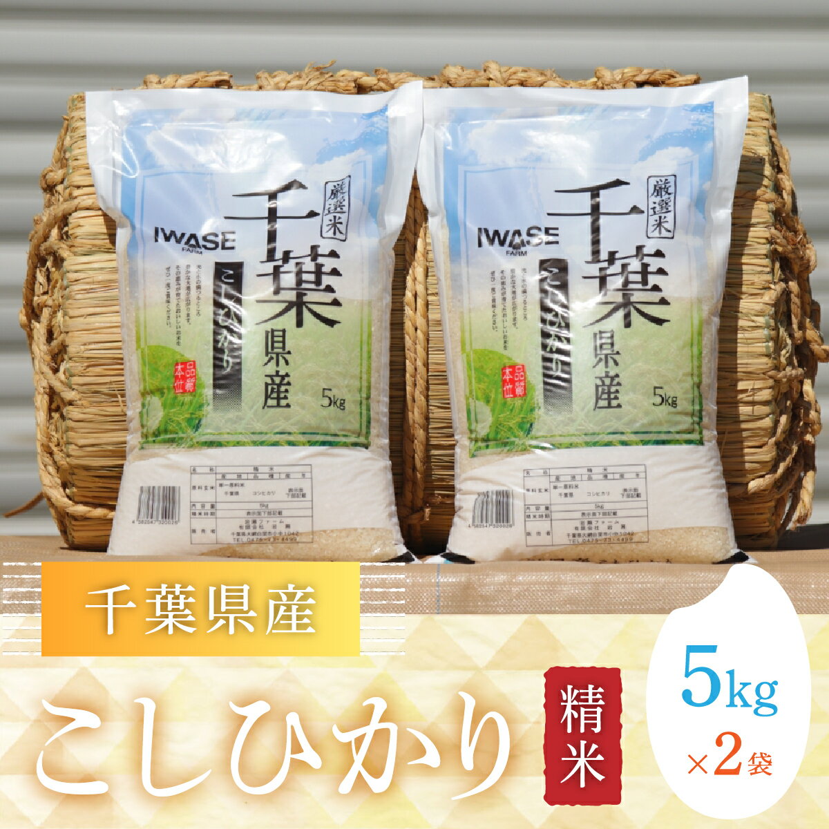 令和7年産 千葉県産コシヒカリ(精米)10kg[5kg×2袋] お米 10kg 千葉県産 大網白里市 コシヒカリ 米 精米 こめ 送料無料 G001
