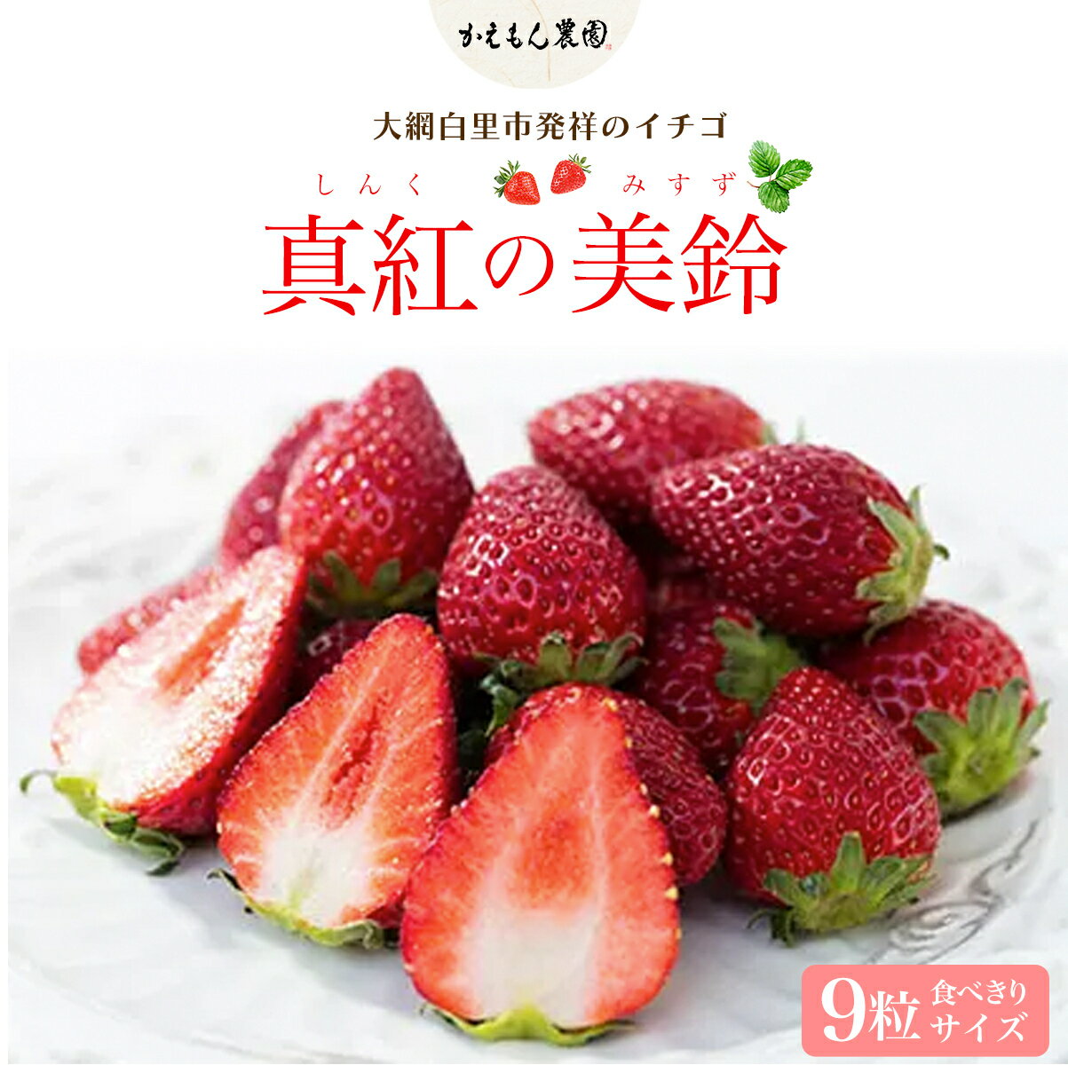 先行予約【2025年12月中旬より順次発送】大網白里市発祥のイチゴ「真紅の美鈴」9粒 食べきりサイズ いちご イチゴ 苺 希少 甘い 深紅 真紅の美鈴 ギフト 黒いちご 黒イチゴ 千葉県 大網白里市 思いやり型返礼品 M006