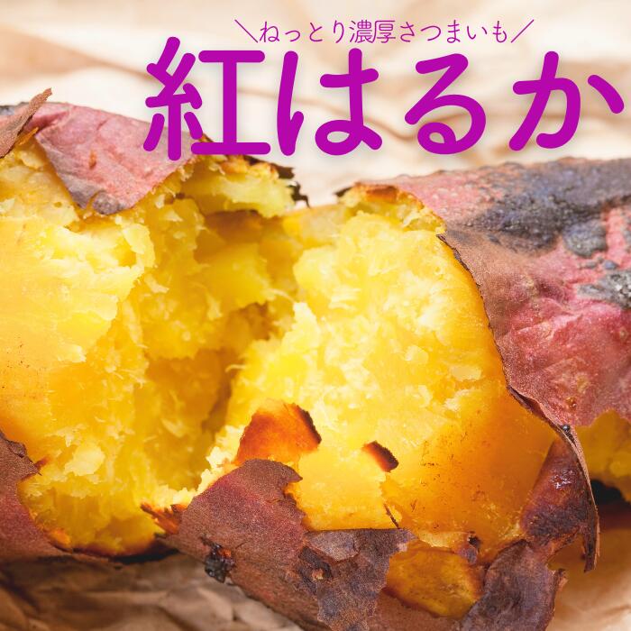 選べる容量 数量限定 ねっとり 紅はるか 5kg 10kg 甘い 熟成 さつまいも サツマイモ 薩摩芋 千葉県 酒々井町 先行予約