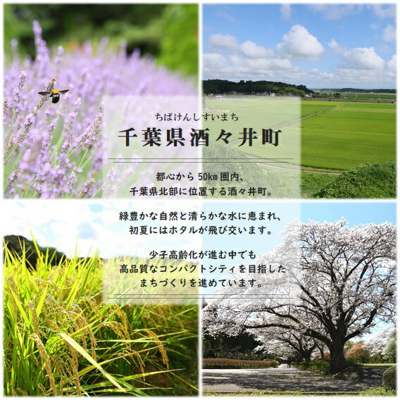 【ふるさと納税】酒々井 一閑張り かごバック 辻ケ花帯 シリーズ［灰色×灰色（持ち手）］一点物 サムネイル3